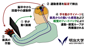 明治大学がパワーアシストハンドを活用して開発した「Digital Mirror Box」技術